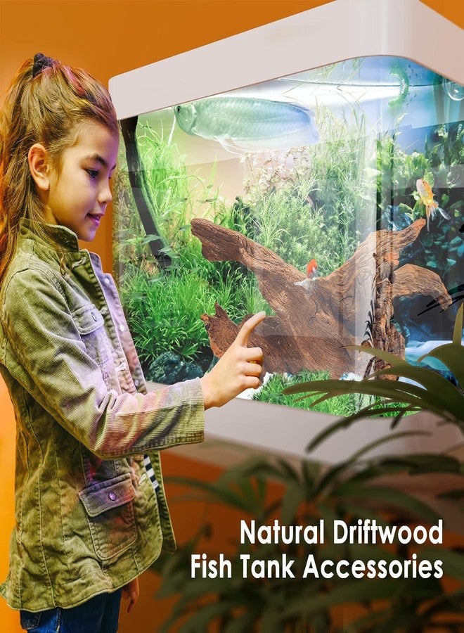 Jorewood Natural Aquarium Driftwood for Fish Tanks & Reptile Terrariums - Safe Fish Tank Decorations, Unique Twisted Branches 3-Piece 7-11 Inch Low Tannin, Easy to Sink - Image 5