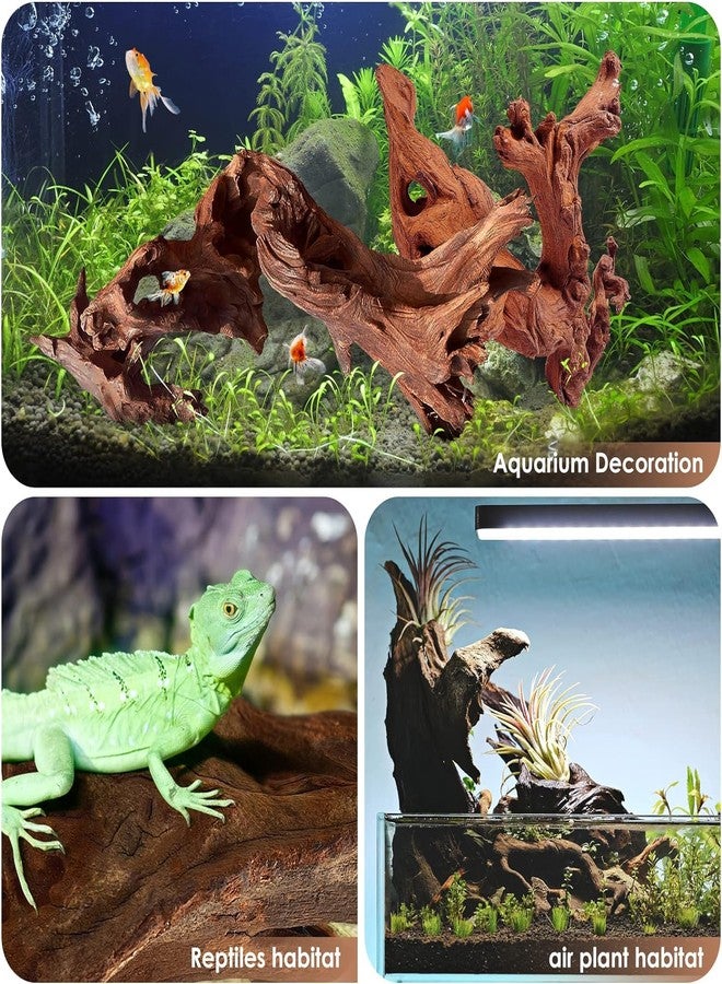 Jorewood Natural Aquarium Driftwood for Fish Tanks & Reptile Terrariums - Safe Fish Tank Decorations, Unique Twisted Branches 3-Piece 7-11 Inch Low Tannin, Easy to Sink - Image 4