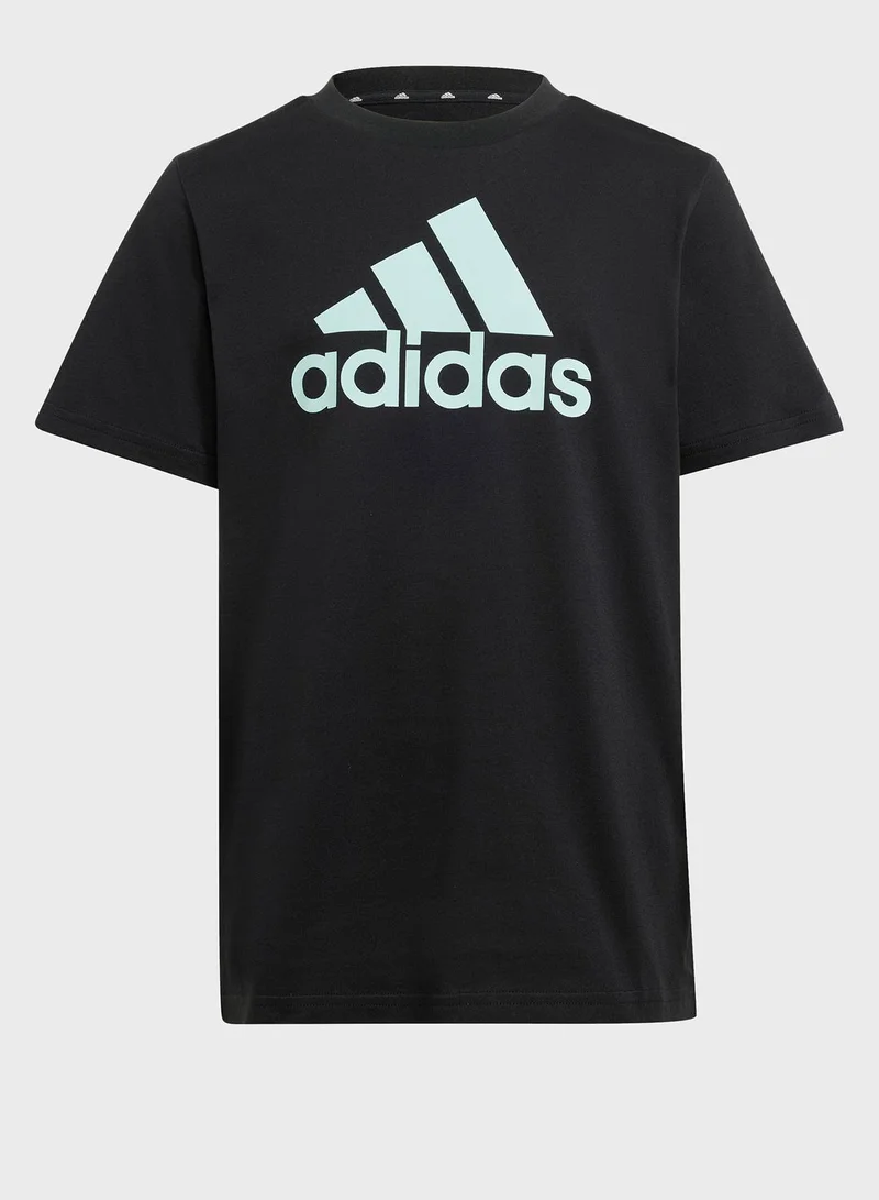 Adidas Essentials Big Logo Cotton T-Shirt