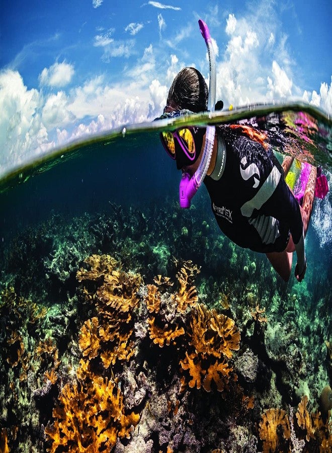 Scubapro Spectra Snorkel Black/Silver - Image 3