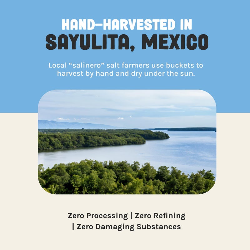 Ava Jane's Kitchen - Colima Coarse Sea Salt - 100% Unrefined, Natural, and Hand-Harvested - Protects Heart - Shapes Figure - Boosts Mood, 227 Servings - Image 4