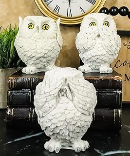 Ebros Gift Ebros See Hear Speak No Evil Fat Baby White Owls Figurines Set of 3 Decor Wisdom of The Woods Nocturnal Snow - Image 1