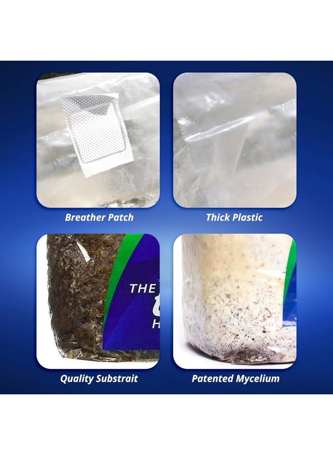Exhale CO2 EX50002 Exhale XL CO2 Bag, 288 Cubic Foot Space - Image 3