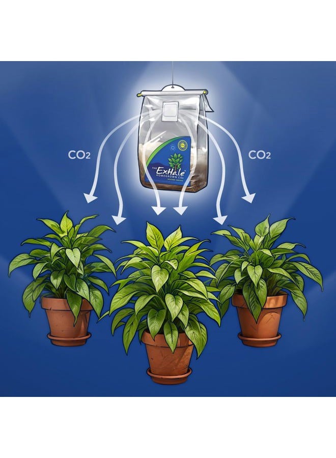 Exhale CO2 EX50002 Exhale XL CO2 Bag, 288 Cubic Foot Space - Image 4
