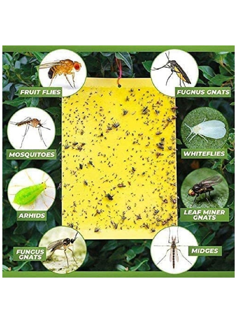SYOSI Sticky Fly Traps, Yellow Fly Paper Stickers, Sticky Fly Catchers Dual-Side for Insect Against Fungus Gnats, Whiteflies, Aphids, Leafminers, 20-Pack, Size 15 X 20CM - Image 2