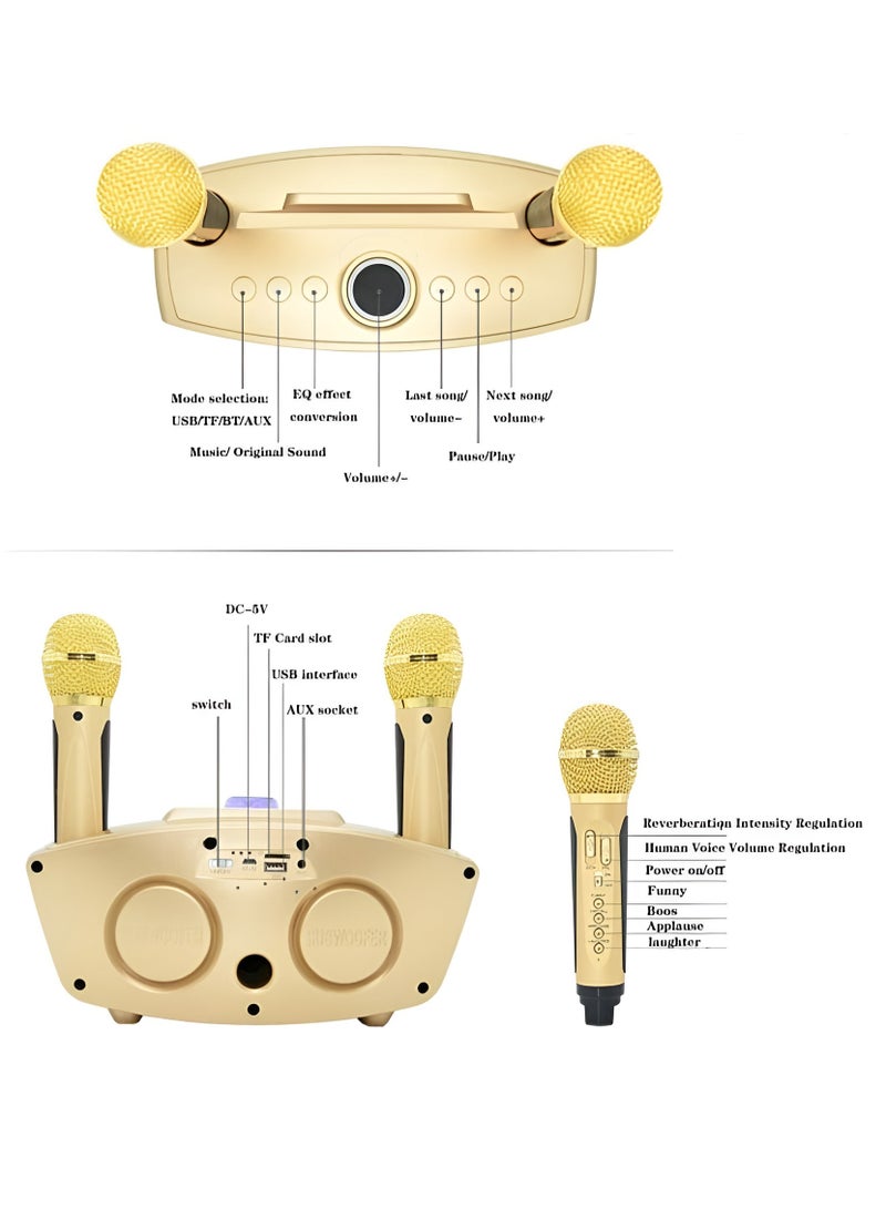 SDRD Wireless Bluetooth Speaker With 2-Piece Mic Rechargeable Portable Speaker - Image 3
