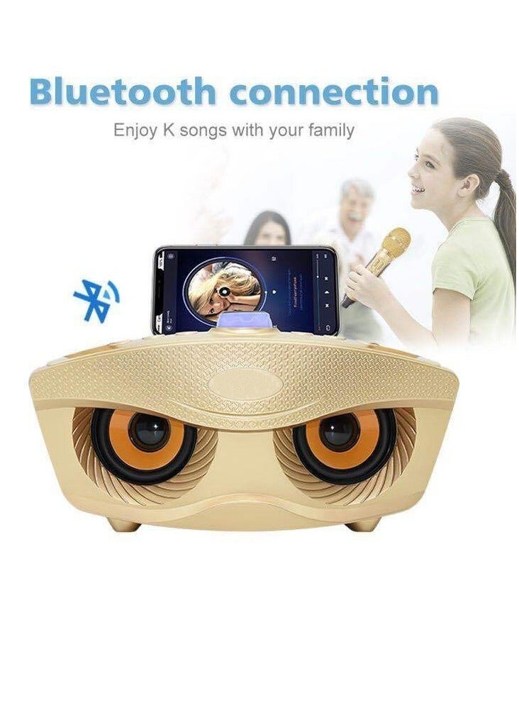 SDRD Wireless Bluetooth Speaker With 2-Piece Mic Rechargeable Portable Speaker - Image 2