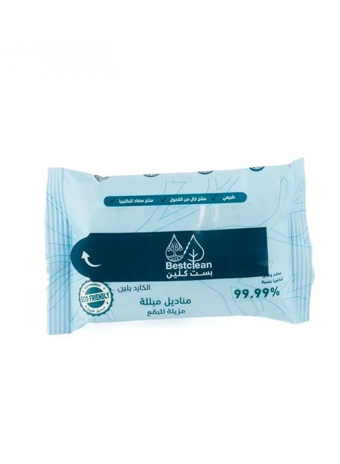 Best Clean Stain Remover Wipes - Image 1