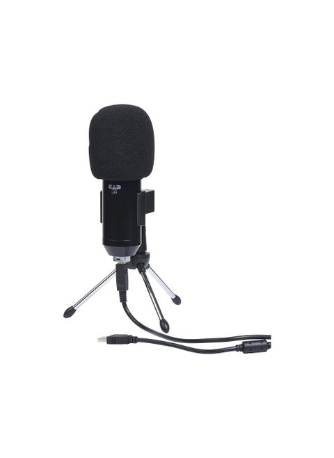 U29 USB Side Address Studio Microphone