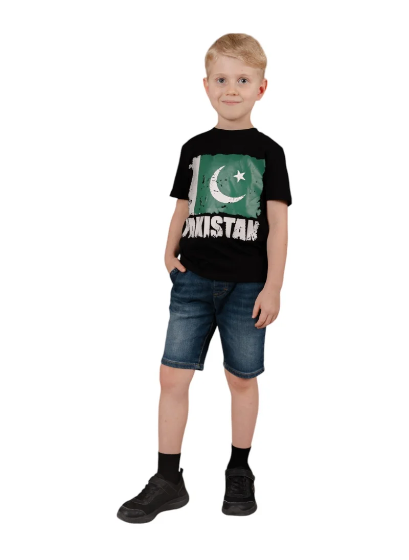 دىدانيالا Pakistan Flag Tshirt National Wear