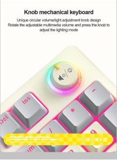 T-WOLF T50 Wired Gaming Keyboard, 97 Keys Blue Switch Mechanical Keyboard with Rgb Backlit and Multimedia Knob White Grey  - Image 2