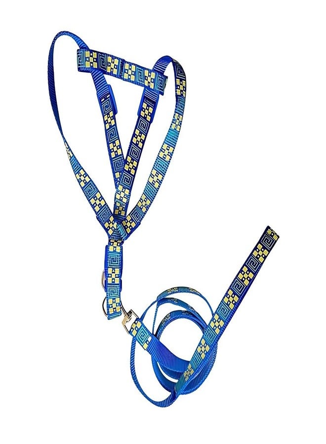 PET FUN Adjustable Dog Harness Belt & Leash Set | Comfortable, Stylish & Secure Fit for Small, Medium & Large Pets, Cats | Soft & Breathable Material for Daily Walks & Outdoor Adventures (Blue, 15 MM) - Image 4