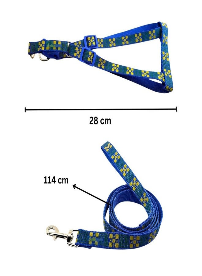 PET FUN Adjustable Dog Harness Belt & Leash Set | Comfortable, Stylish & Secure Fit for Small, Medium & Large Pets, Cats | Soft & Breathable Material for Daily Walks & Outdoor Adventures (Blue, 15 MM) - Image 3
