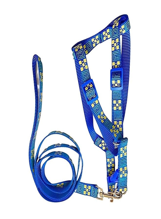 PET FUN Adjustable Dog Harness Belt & Leash Set | Comfortable, Stylish & Secure Fit for Small, Medium & Large Pets, Cats | Soft & Breathable Material for Daily Walks & Outdoor Adventures (Blue, 15 MM) - Image 1