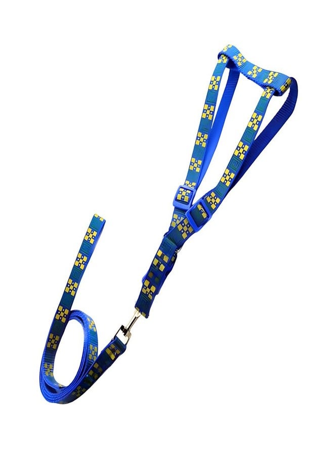 PET FUN Adjustable Dog Harness Belt & Leash Set | Comfortable, Stylish & Secure Fit for Small, Medium & Large Pets, Cats | Soft & Breathable Material for Daily Walks & Outdoor Adventures (Blue, 15 MM) - Image 2