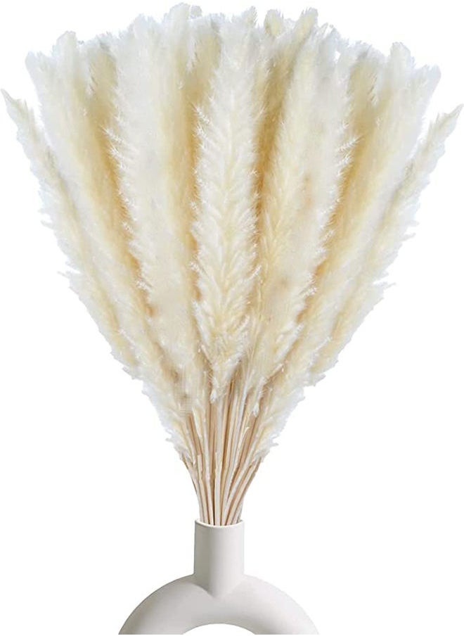 Generic - Fancy Natural Dried Flowers Original Pampas Grass -Tall Extra Fluffy- Faux Artificial Dried (5) - Image 1