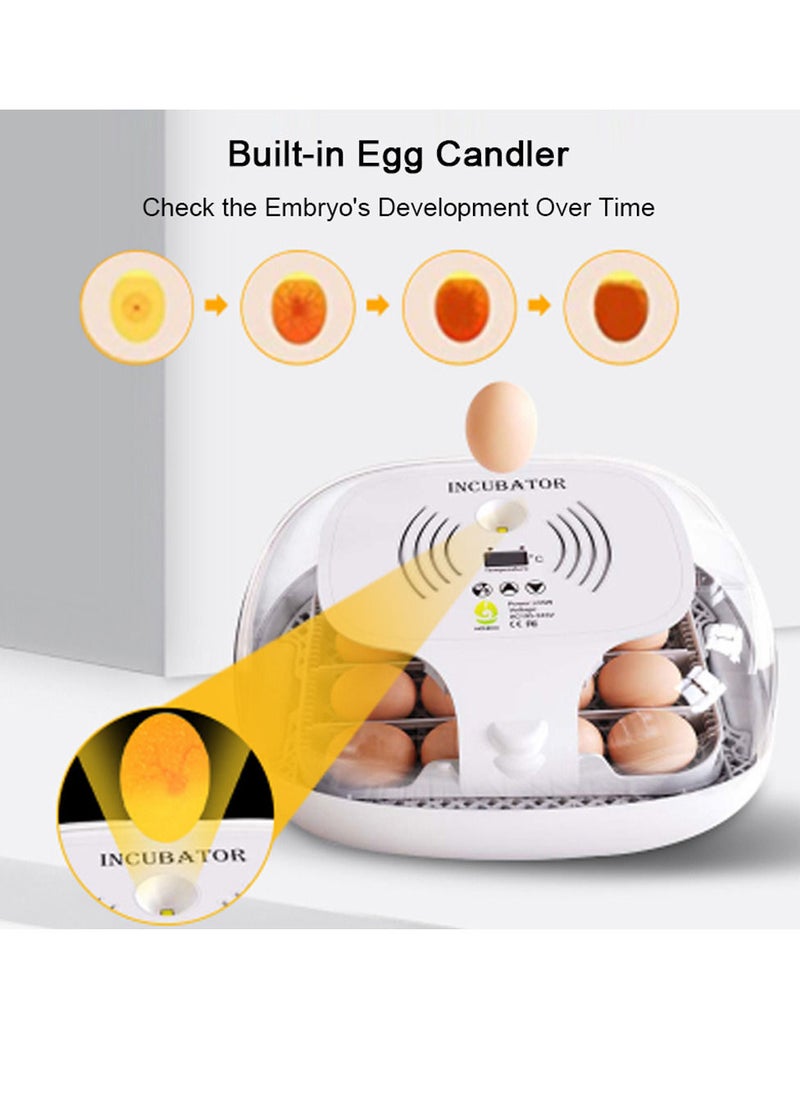 Generic - Egg Incubator for Hatching with Automatic Egg Turning Led Egg Test Lamp Clear Lid Easy to Wash 16 Eggs Poultry Hatcher Farm Bird Quail Chicken Poultry Farm Hatcher Turner Incubation Tools - Image 1