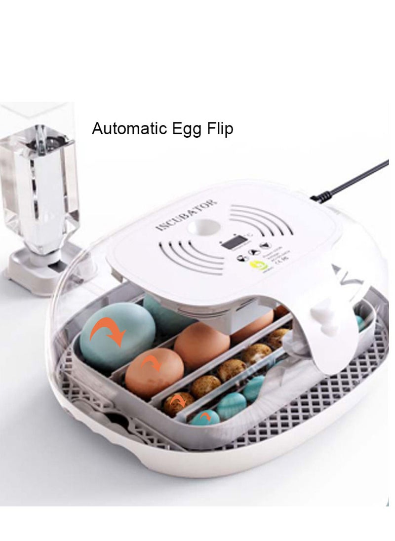 Generic - Egg Incubator for Hatching with Automatic Egg Turning Led Egg Test Lamp Clear Lid Easy to Wash 16 Eggs Poultry Hatcher Farm Bird Quail Chicken Poultry Farm Hatcher Turner Incubation Tools - Image 1