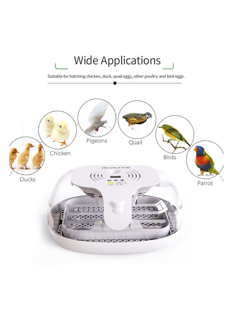 Generic - Egg Incubator for Hatching with Automatic Egg Turning Led Egg Test Lamp Clear Lid Easy to Wash 16 Eggs Poultry Hatcher Farm Bird Quail Chicken Poultry Farm Hatcher Turner Incubation Tools - Image 1