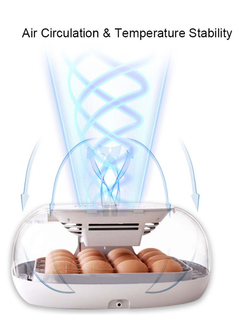 Generic - Egg Incubator for Hatching with Automatic Egg Turning Led Egg Test Lamp Clear Lid Easy to Wash 16 Eggs Poultry Hatcher Farm Bird Quail Chicken Poultry Farm Hatcher Turner Incubation Tools - Image 1