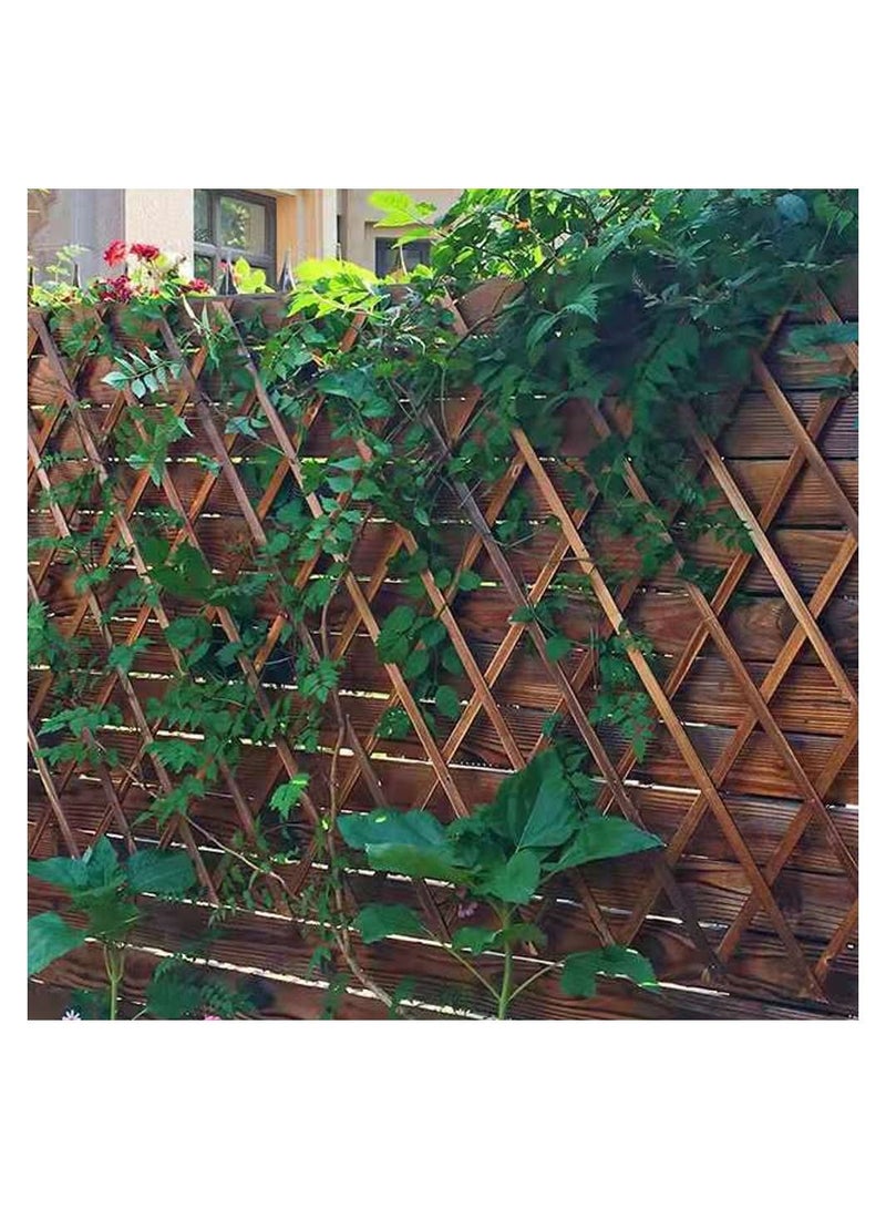 LINGWEI Wooden Decorative Garden Fence Portable Expandable Wicker Wood Picket Trellis Plant Vine Climbing Frame Fence Support (2pcs) - Image 2