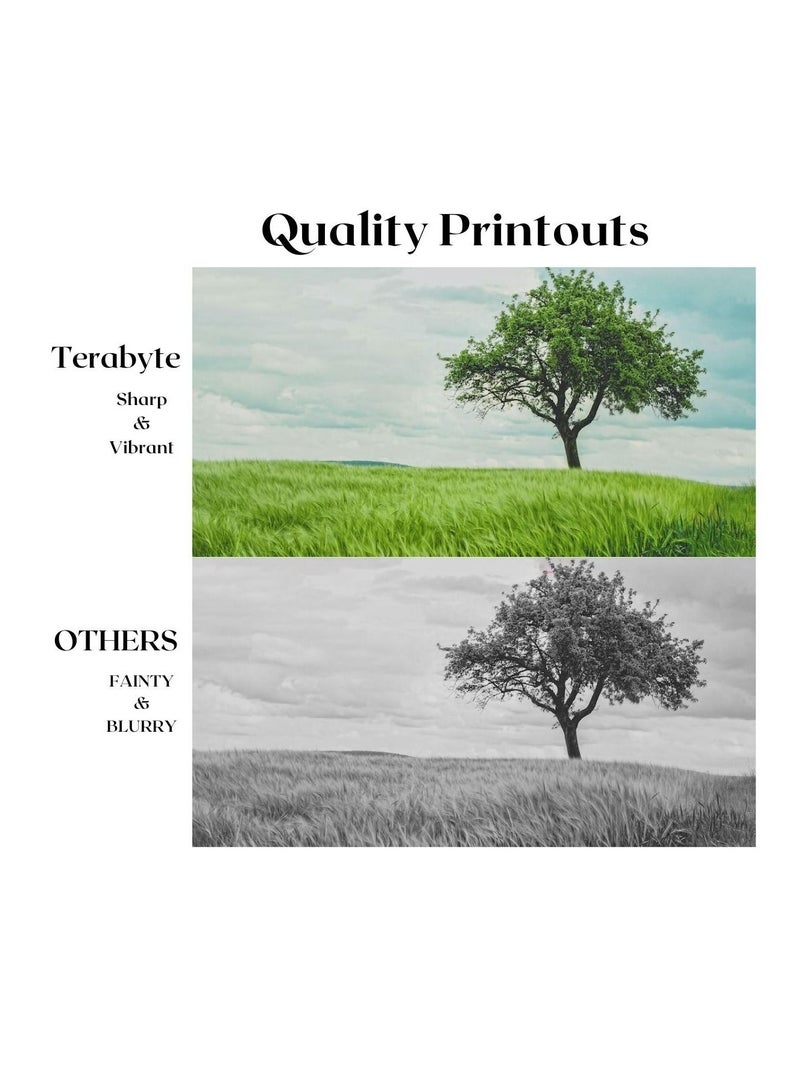 Terabyte 4530(10K) COMPATIBLE TONER TERABYTE - Image 2