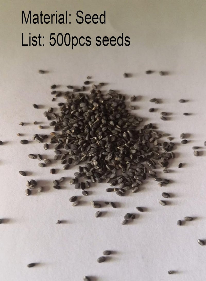 GGOOT Plant Seeds Flower Seeds500Pcs/Bag Seeds Natural Therapeutic Green Perennial Lemon Basil Seeds for Greenhouse Bonsai Seeds for Greenhouse - Image 2