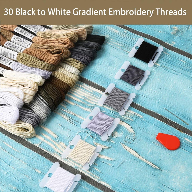Pllieay 30 Skeins Friendship Bracelets Floss, Black to White Gradient Grey Embroidery Floss, Cross Stitch Threads with 6 Floss Bobbins, 2 Embroidery Needles and Needle Threader - Image 2