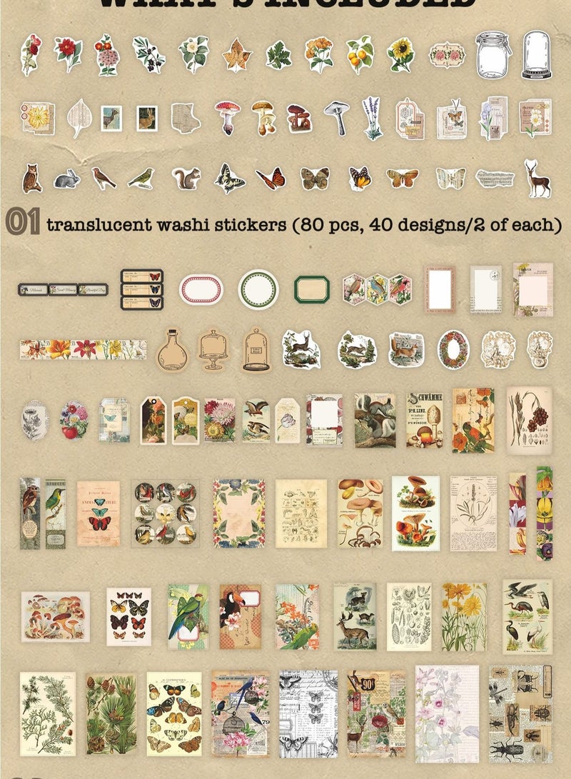 Y&D Vintage Handbook Diary Stickers, 200 Pieces Mayfly Animals Deep Forest Series Scrapbook Kit Planner Stickers Literary Style Art Notebook Album Collage Cards Interesting and Diverse  - Image 3