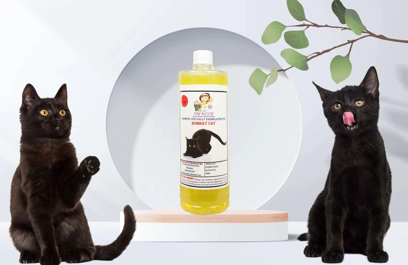 SWACCH Shampoo Specially FORMULATED for Bombay CAT (1 Litre) Lemon - Image 1
