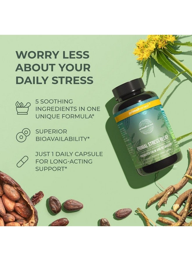 Primal Harvest Stress Relief Supplement for Women and Men Pure Ashwagandha Root Extract, L-Theanine Supplements, 60 Capsules - Image 5