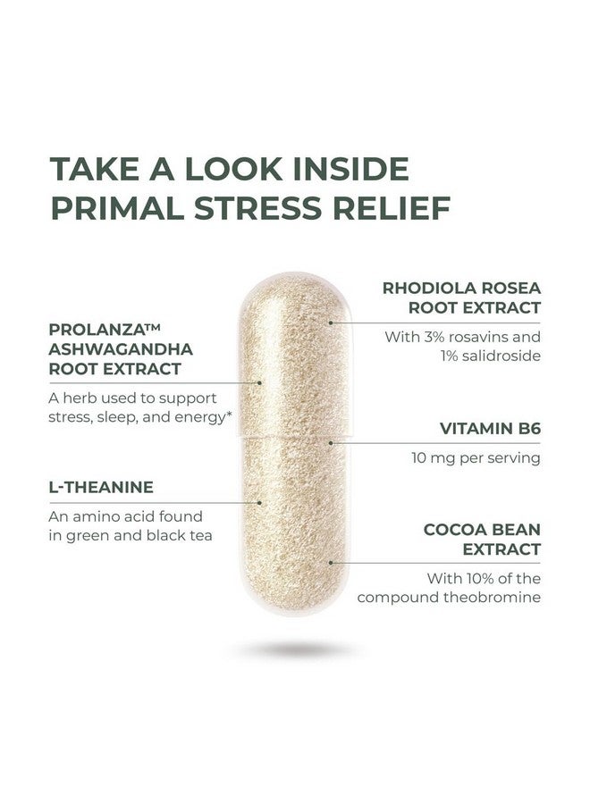 Primal Harvest Stress Relief Supplement for Women and Men Pure Ashwagandha Root Extract, L-Theanine Supplements, 60 Capsules - Image 4