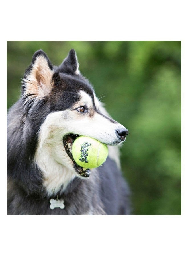كونج كرة تنس Air Dog Squeaker مقاس X-Large - عبوة واحدة - عبوة من 4 قطع - Image 5