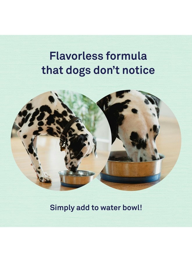 Petpost | Dental Solution for Dogs - Water Additive That Eliminates Bad Breath - Dirt, Gunk, and Tooth Buildup Gone - Natural Tooth Cleaning Solution 16 oz. - Image 4