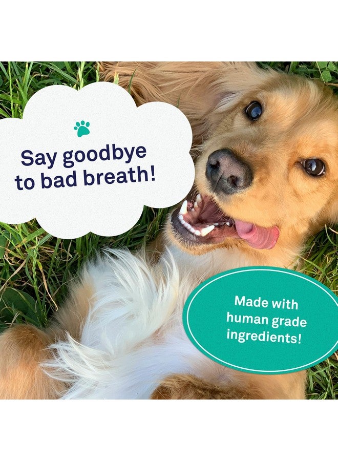 Petpost | Dental Solution for Dogs - Water Additive That Eliminates Bad Breath - Dirt, Gunk, and Tooth Buildup Gone - Natural Tooth Cleaning Solution 16 oz. - Image 3