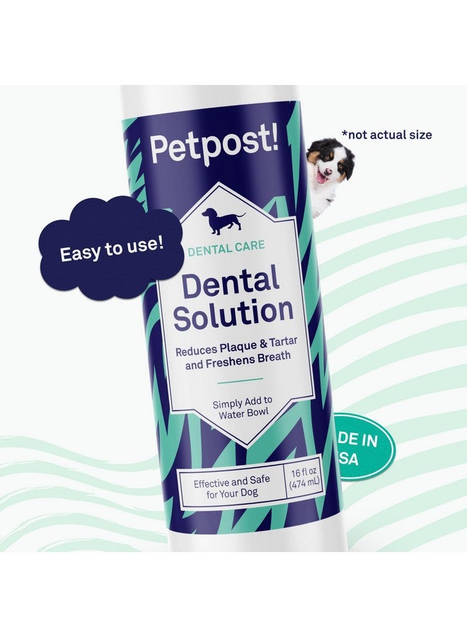 Petpost | Dental Solution for Dogs - Water Additive That Eliminates Bad Breath - Dirt, Gunk, and Tooth Buildup Gone - Natural Tooth Cleaning Solution 16 oz. - Image 5