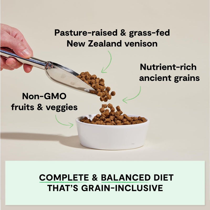 Open Farm, Ancient Grains Dry Dog Food, Protein-Rich & Nutrient Dense, 90% Animal Protein Mixed with Non-GMO Fruits, Veggies and Superfoods, New Zealand Venison Recipe, 4lb Bag - Image 2