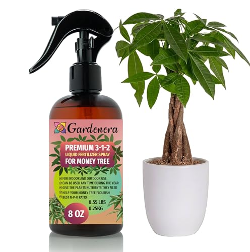 Gardenera Professional Money Tree Spray Fertilizer Mist for Home Gardening | 3-1-2 Gentle Blend Mist for Healthy Leaves & Growth | Essential Nutrients for Money Tree - 8oz - Image 5