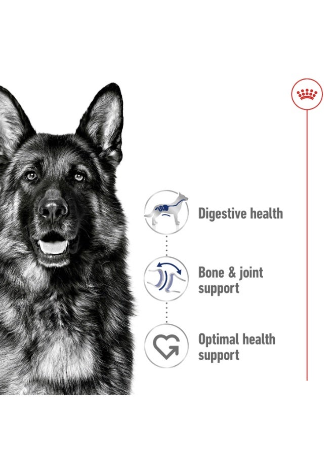 ROYAL CANIN Size Health Nutrition Maxi Adult 10 KG - Image 4