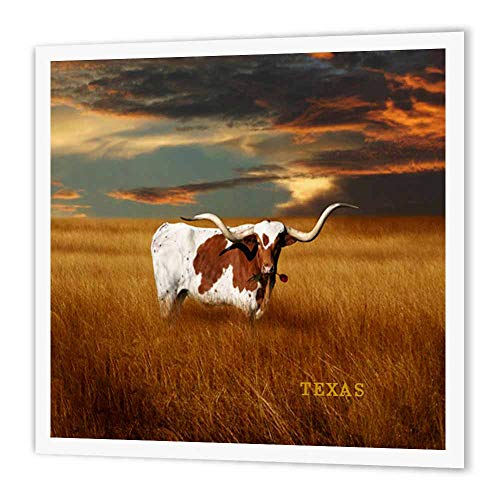 3DROSE 3dRose ht_62229_3 A Texas Longhorn Iron on Heat Transfer for White Material, 10 by 10-Inch  - Image 1
