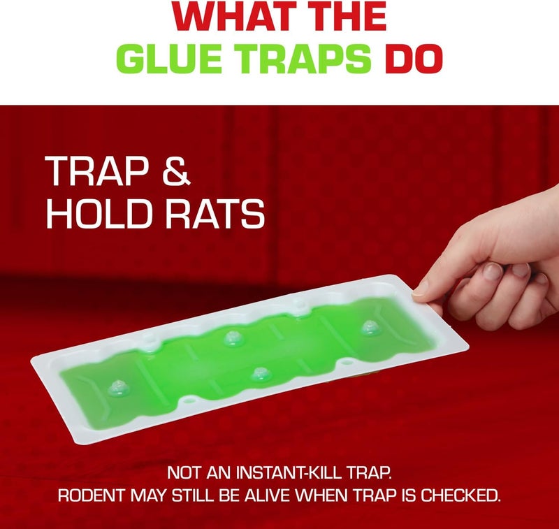 TOMCAT Super Hold Glue Traps Rat Size for Rats, Mice, Snakes, Cockroaches, Spiders, and Scorpions, Ready-To-Use, 2 Traps - Image 5