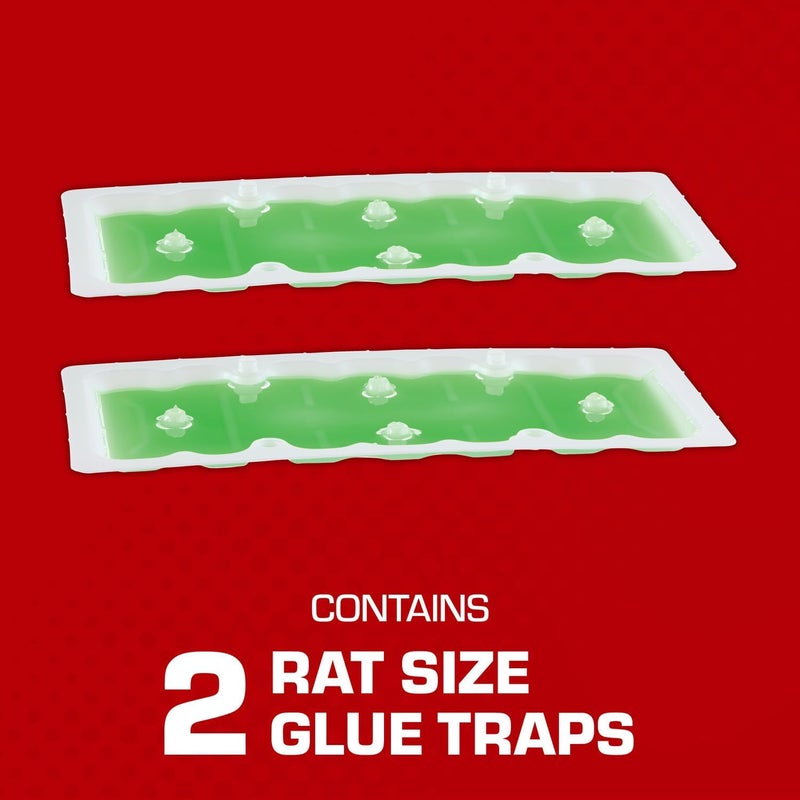 TOMCAT Super Hold Glue Traps Rat Size for Rats, Mice, Snakes, Cockroaches, Spiders, and Scorpions, Ready-To-Use, 2 Traps - Image 1