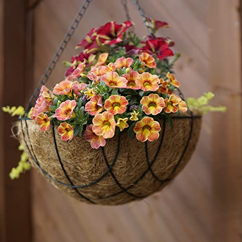 FDGARDEN 16" Round Coco Liner for Hanging Planter, 4Pcs, 100% Natural Coconut Coir Liner, Promotes Air Circulation & Water Retention, Ideal for Flower Plants & Garden Decorations - Image 4