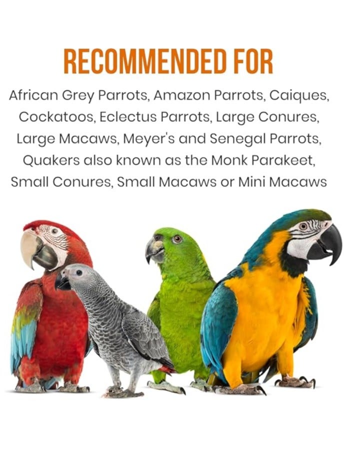 My PetShop Premium Bird Food Seed Mix 2KG, Complete Balanced Diet for Medium & Large Parrots, Enriched with Omega-3, Vitamins, Fruits, Vegetables, Grains & Nuts, Over 20 Natural Ingredients For African Grey, Macaw, Cockatoo & Conure Bird Feed - Image 5