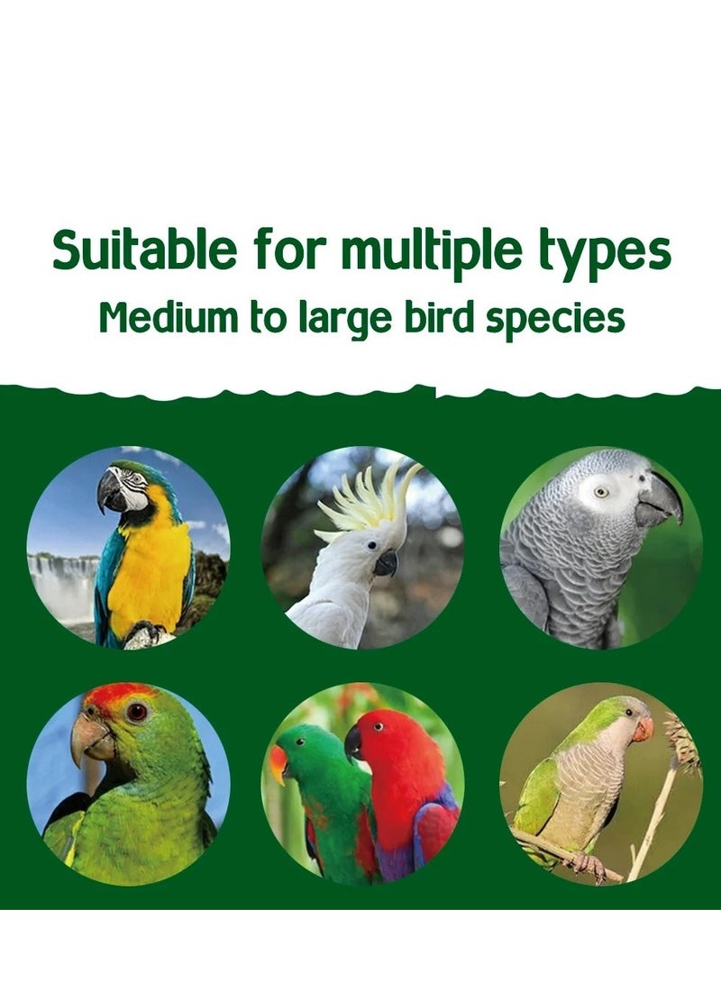 My PetShop Premium Bird Food Seed Mix 2KG, Complete Balanced Diet for Medium & Large Parrots, Enriched with Omega-3, Vitamins, Fruits, Vegetables, Grains & Nuts, Over 20 Natural Ingredients For African Grey, Macaw, Cockatoo & Conure Bird Feed - Image 4