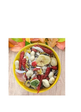 2 kg Seeds Mixed Fruits Chili Macaw Feed Parrot Food for Large & Medium Parrot - pzsku/Z9E5EFADE53509C8658F3Z/45/_/1715641466/c9685ea5-63ec-48af-9c90-257512660e84