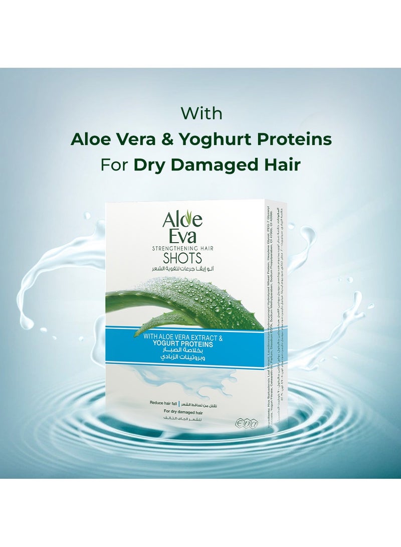 Eva أمبولات تقوية الشعر بالألوة فيرا وبروتينات الزبادي (4 أمبولات) - Image 4