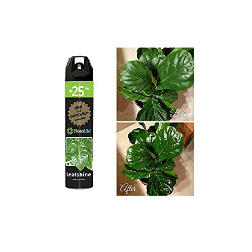 Floralife Leafshine 750ml Scent Free Clear Spray for Plants and Flowers - Image 2