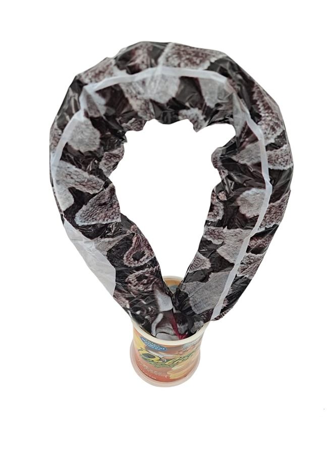Potato Chip Snake In A Can Gag kIt