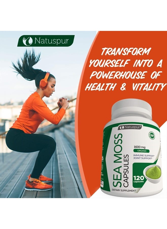 Natuspur - Organic Irish Sea Moss 2315mg Bladderwrack and Burdock Root with Black Pepper Prebiotic Super Food for - Joint, Digestive Health, Thyroid, Healthy Skin, Gut & Immune Support – 120 Capsules - Image 1